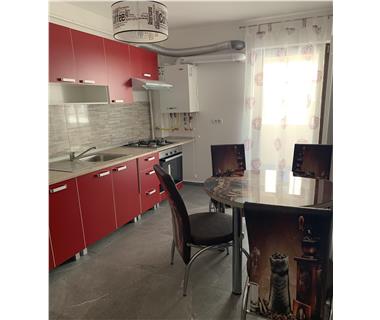 Apartament Nou 1 camere  de vanzare  Bucium